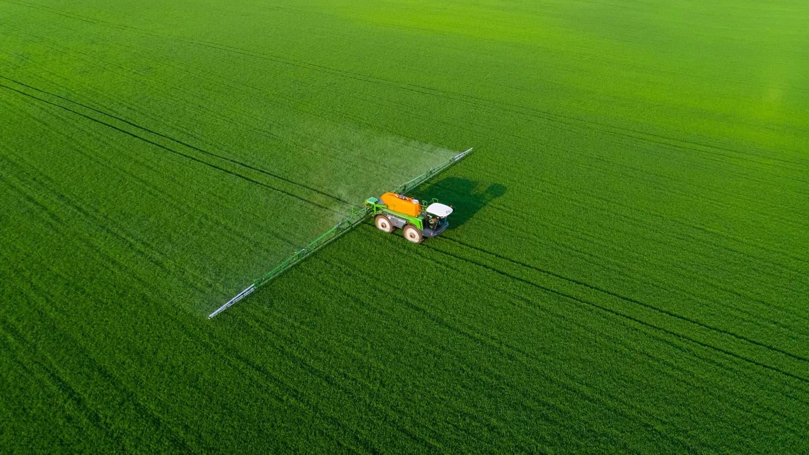 Agriculture